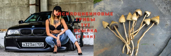 прущий лед Балабаново