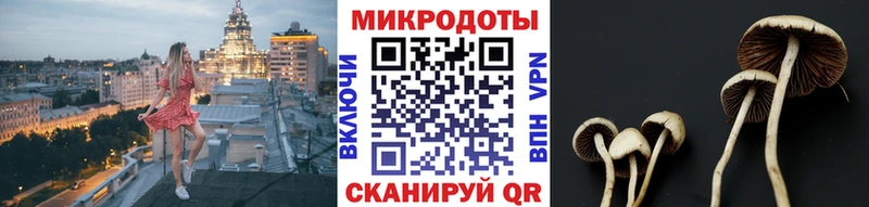 блэк спрут маркетплейс  Богучар  Псилоцибиновые грибы мицелий 